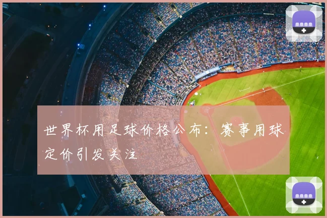 世界杯用足球价格公布:赛事用球定价引发关注